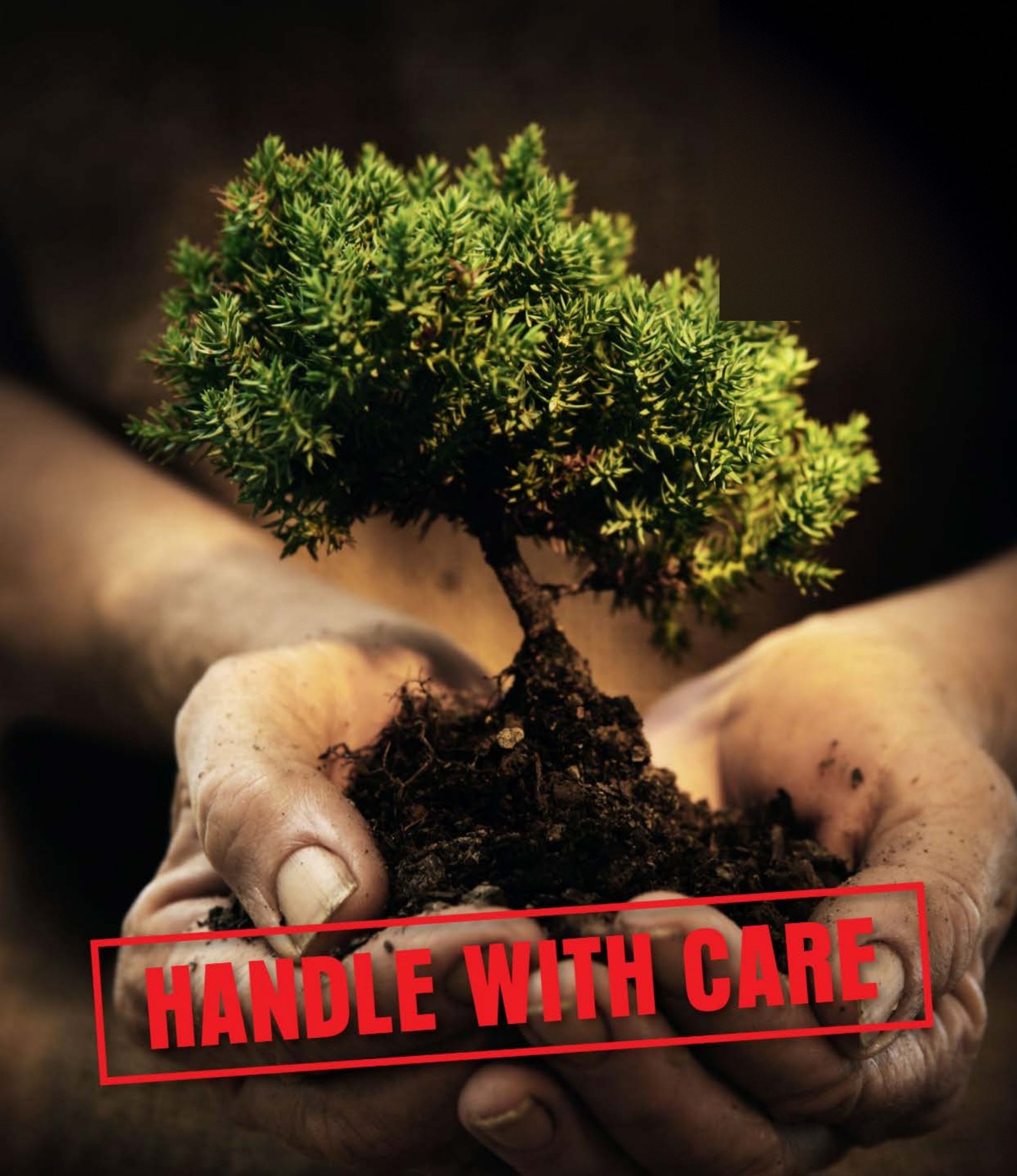 Two cupped hands holding a small young tree growing in a clump of soil, with a red HANDLE WITH CARE stamp printed across the picture.